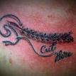 stitches