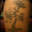 tree
