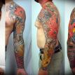 koi fish sleeve