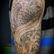koi fish
