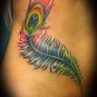 feather