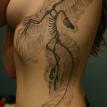 fossil tattoo
