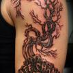 fate tree